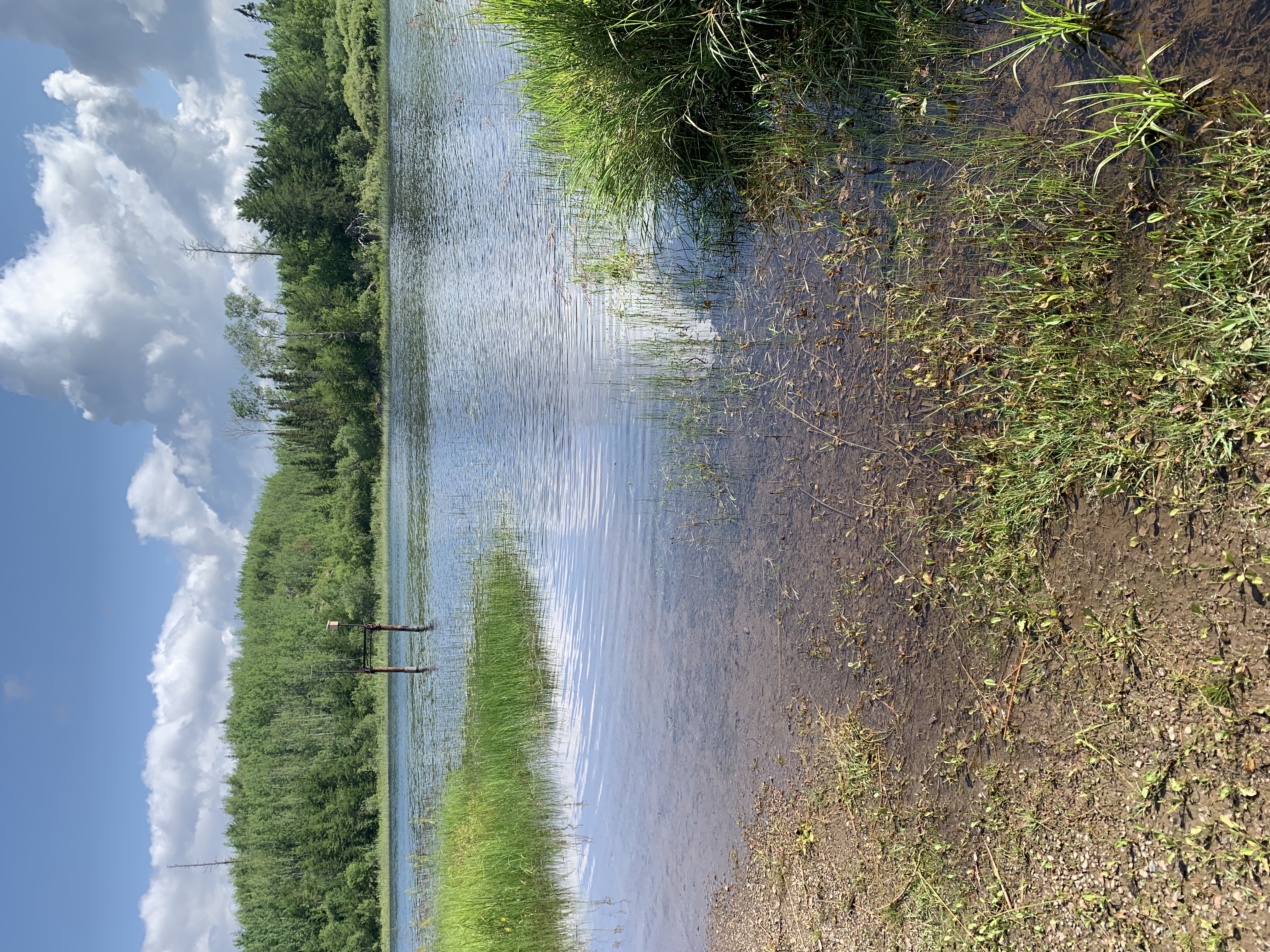 Lake Saganaga at Chik-Wauk Museum